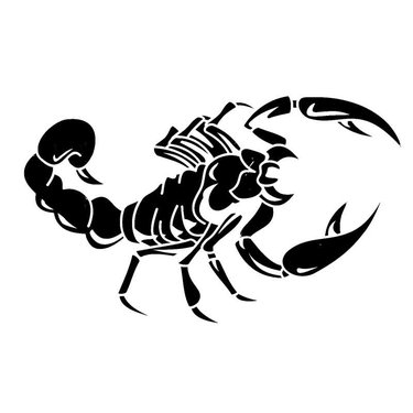Наклейка Скорпион Белый Большой (40*40)
