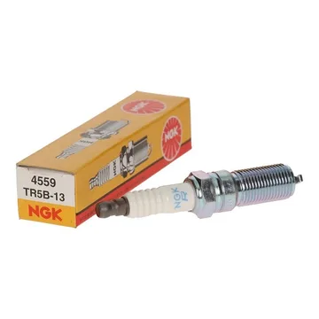 Свеча зажигания NGK 4559 Ford 1.4/1.6 (TR5B-13) 1шт.